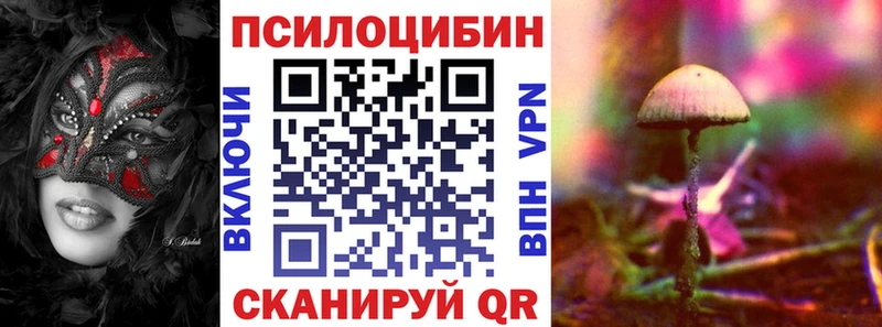 как найти закладки  Фурманов  Псилоцибиновые грибы Psilocybine cubensis 