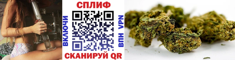 Шишки марихуана сатива  Фурманов 
